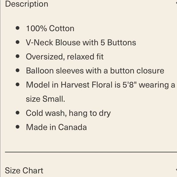 Nwt A Bronze Age Aayla Blouse - Picture 5 of 11